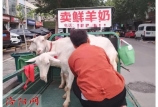 這類人畜共患病要警惕！這地今年發(fā)現(xiàn)432例患者