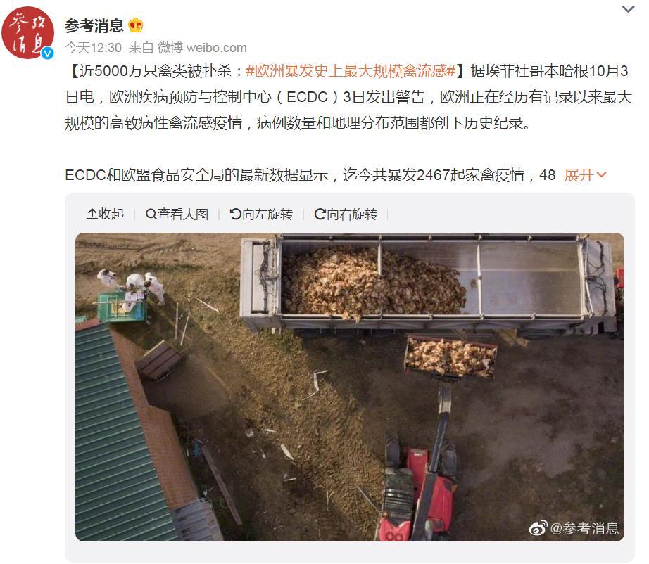 關(guān)注！歐洲暴發(fā)史上最大規(guī)模禽流感，波及37個(gè)國(guó)家！近5000萬(wàn)只禽類被撲殺，蛋價(jià)會(huì)上漲么？