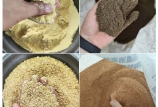 飼料原料驗收的“望、聞、問、切”